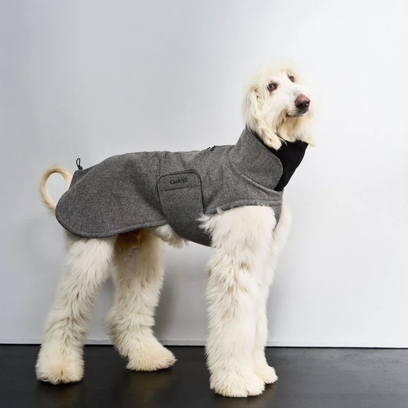 Windhundmantel Brooklyn Long Tweed Black