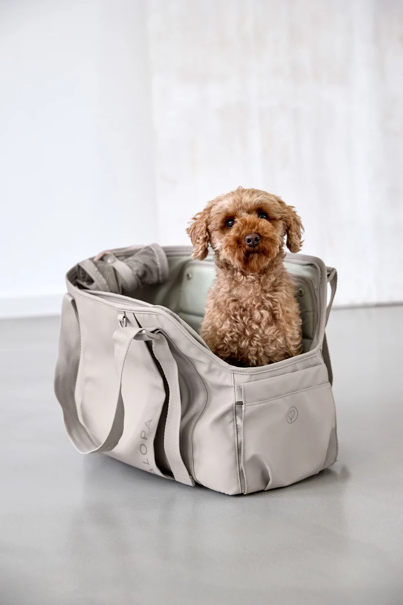 Hundetragetasche Weda Taupe