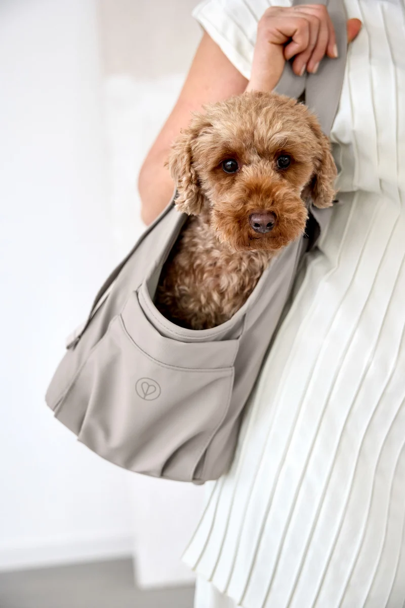 Hundetragetasche Weda Taupe