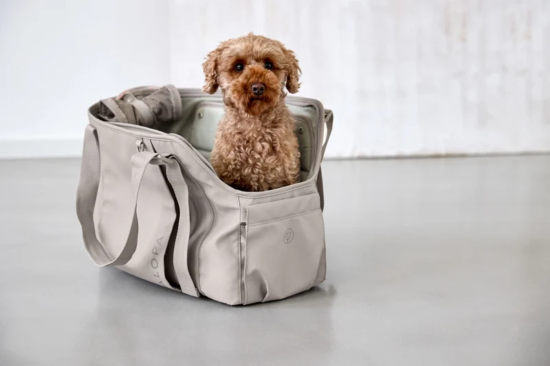 Hundetragetasche Weda Taupe