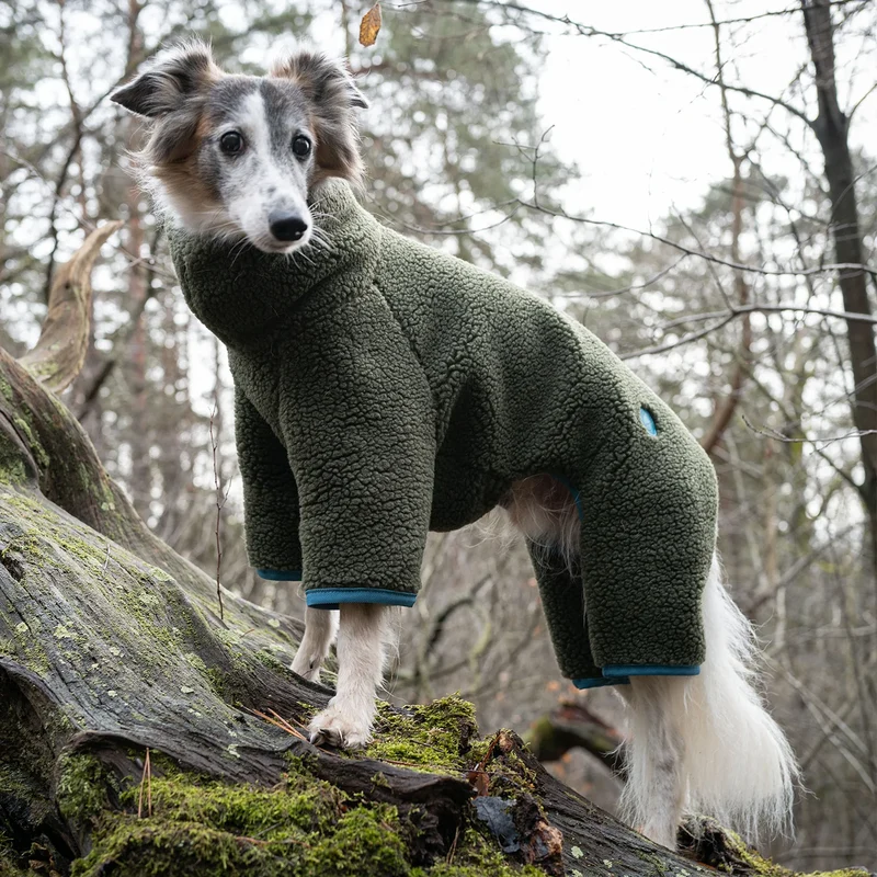 Hundepullover Cornwall Teddy Olive
