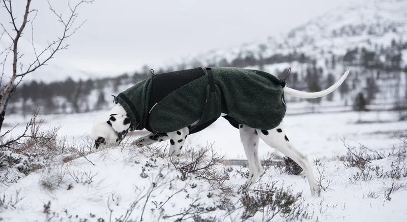 Wool Dog Jacket Dark Teal