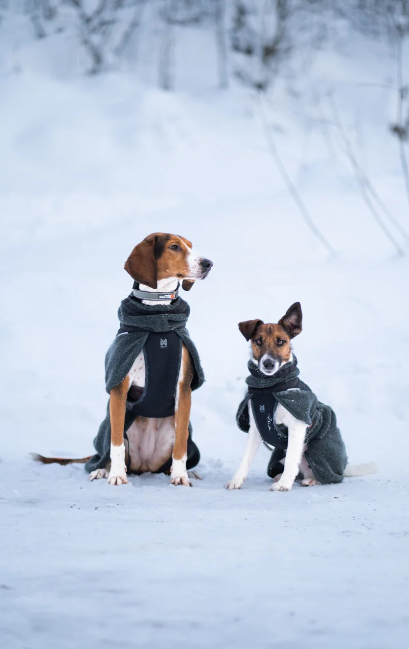 Wool Dog Jacket Dark Teal