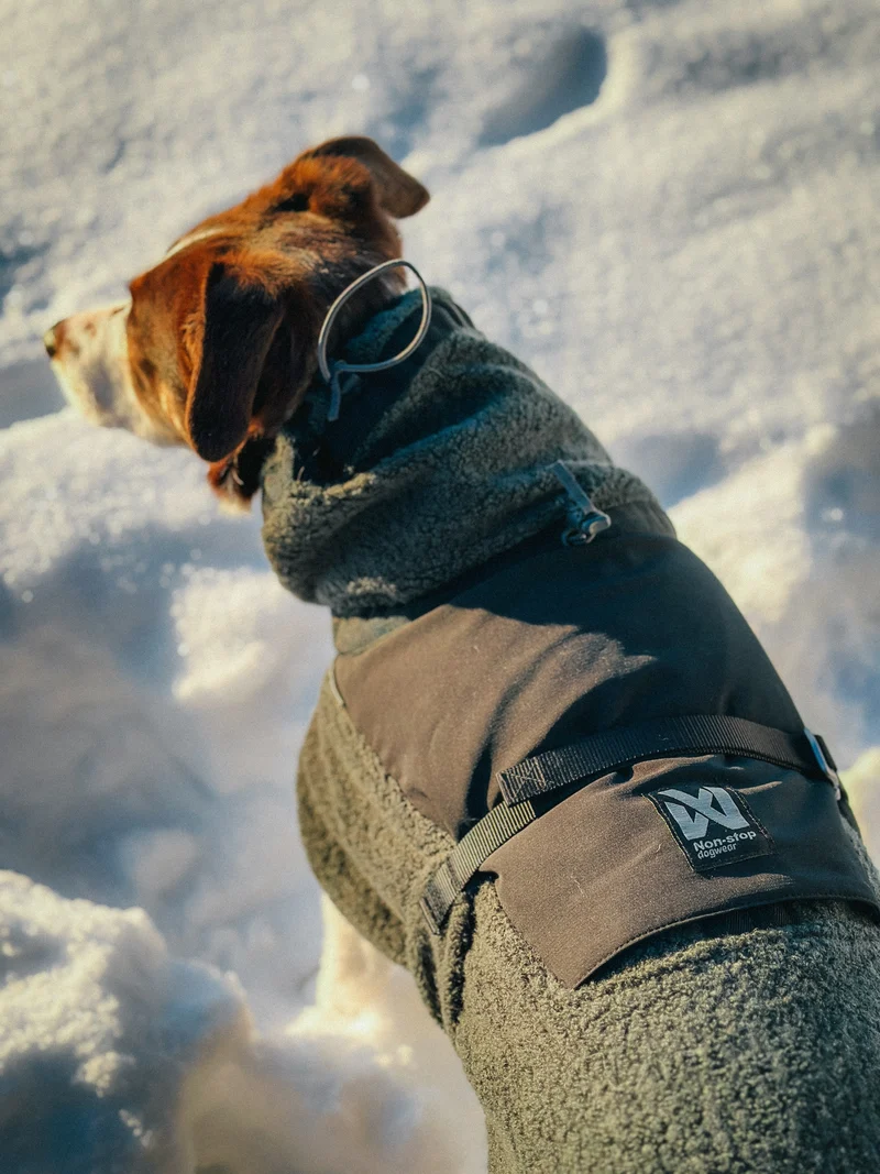 Wool Dog Jacket Dark Teal