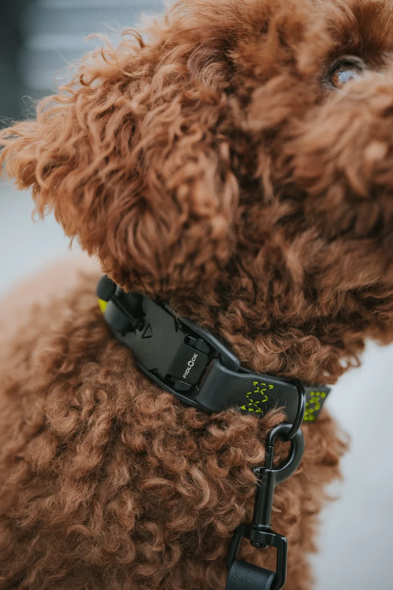 Hundehalsband BioThane Ipanema Black C7 x LEVEY