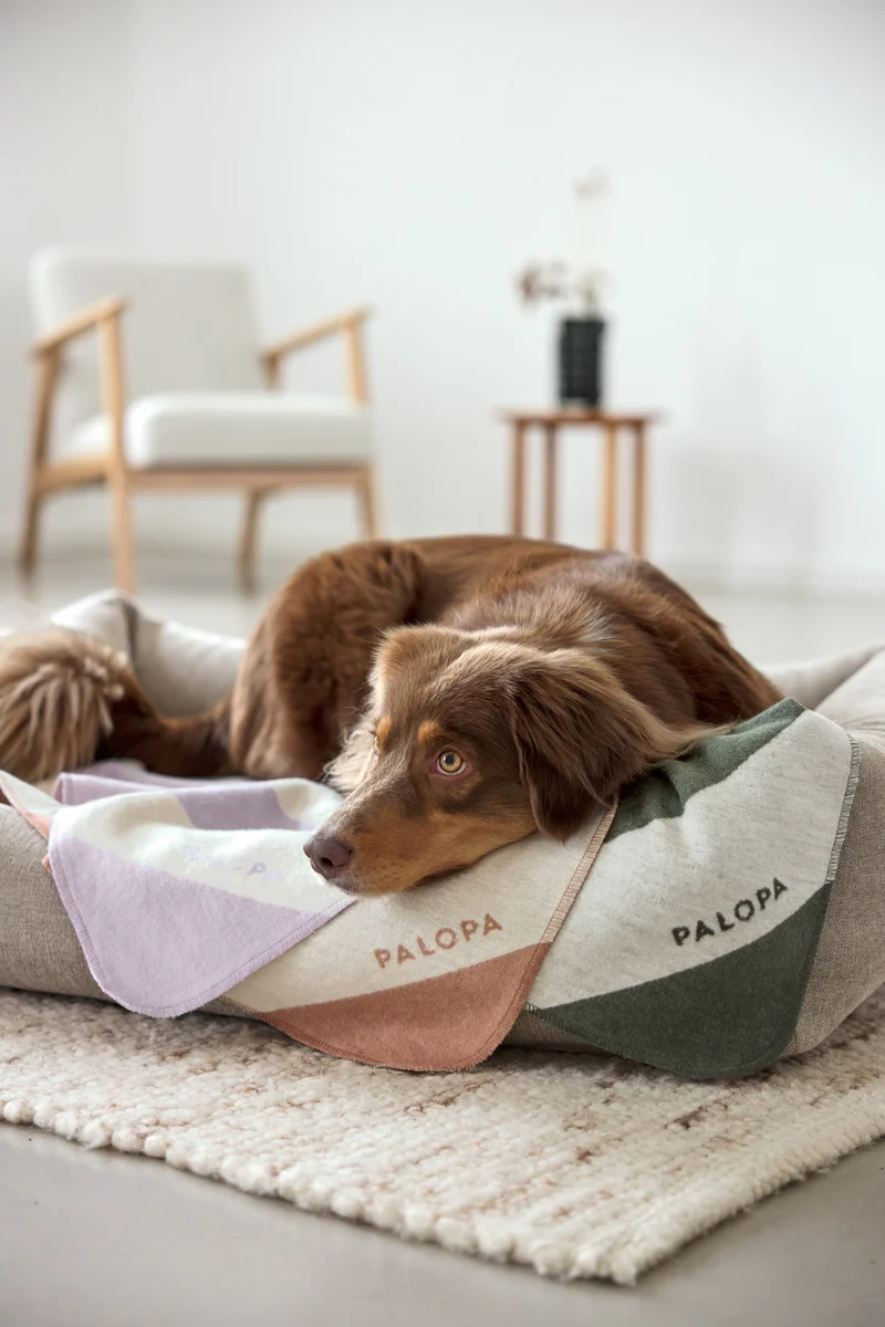 Hundedecke Ida Streifen Rosa Ahorn