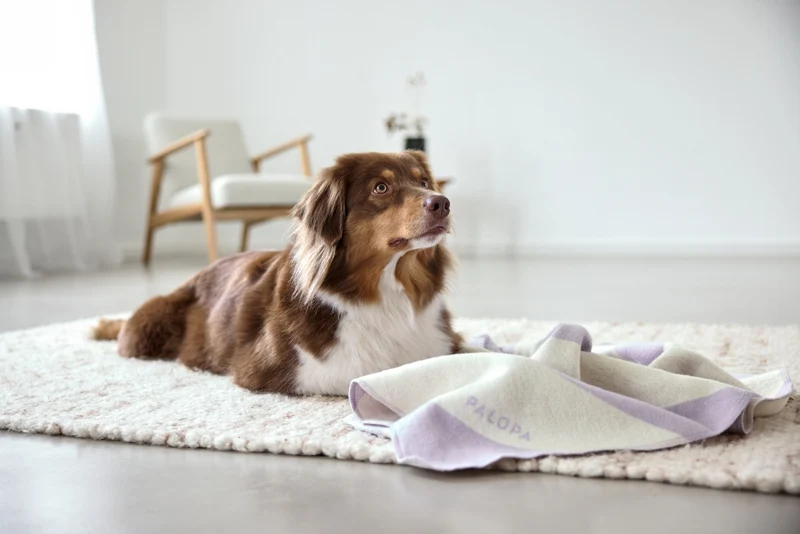 Hundedecke Ida Streifen Rosa Lila
