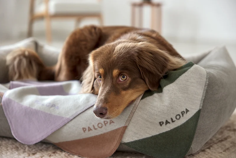 Hundedecke Ida Streifen Rosa Ahorn