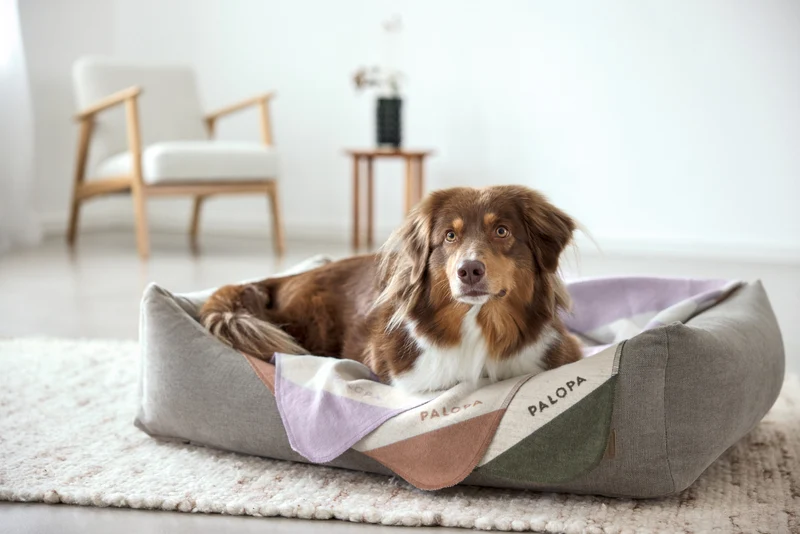 Hundedecke Ida Streifen Rosa Ahorn