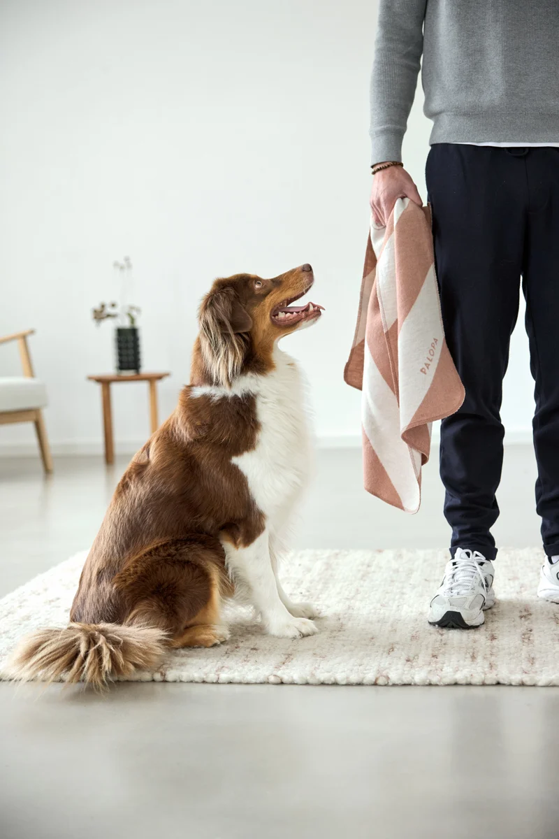 Hundedecke Ida Streifen Rosa Ahorn
