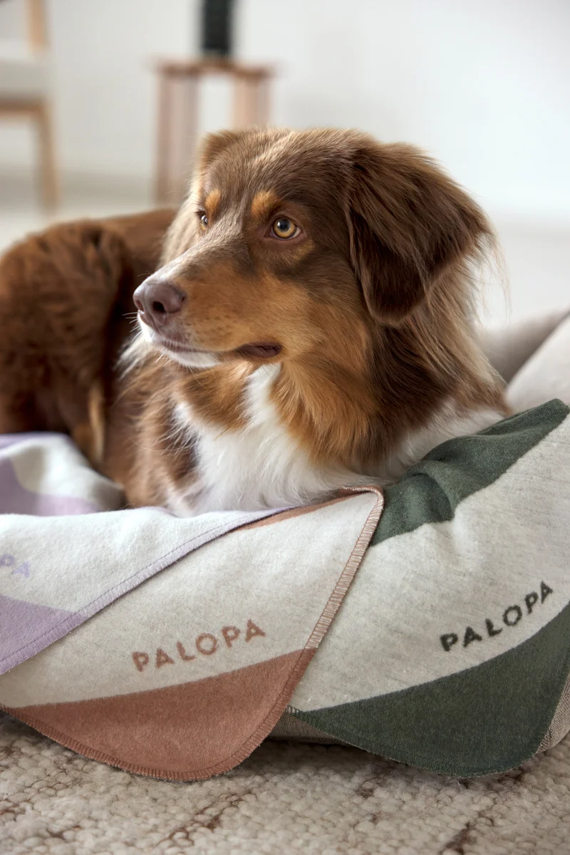 Hundedecke Ida Streifen Rosa Ahorn