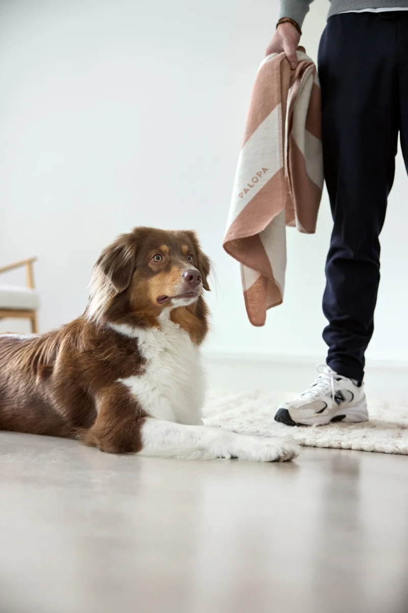 Hundedecke Ida Streifen Rosa Ahorn