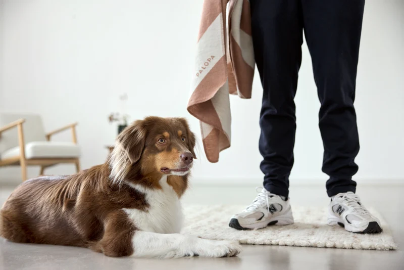 Hundedecke Ida Streifen Rosa Ahorn