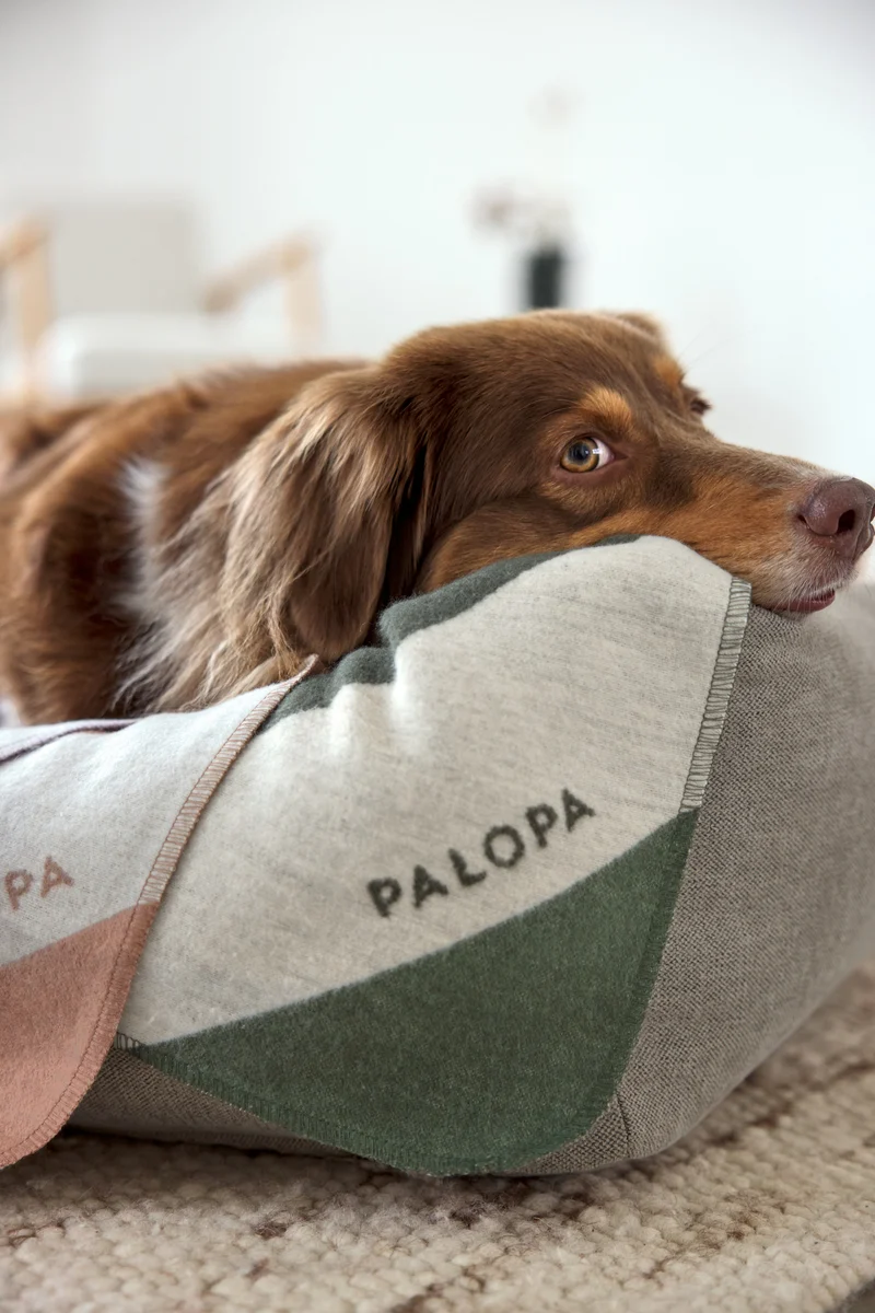 Hundedecke Ida Streifen Rosa Dunkelgrün