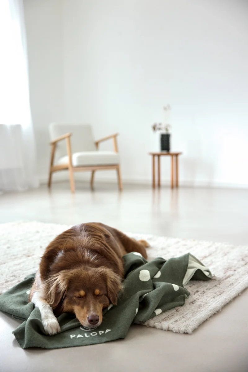 Hundedecke Ida Punkte Rosa Dunkelgrün