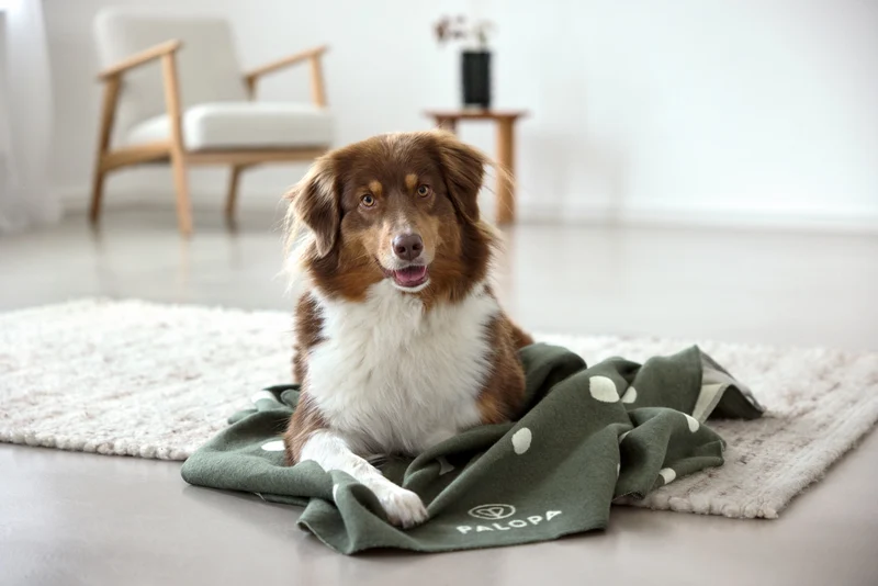 Hundedecke Ida Punkte Rosa Dunkelgrün
