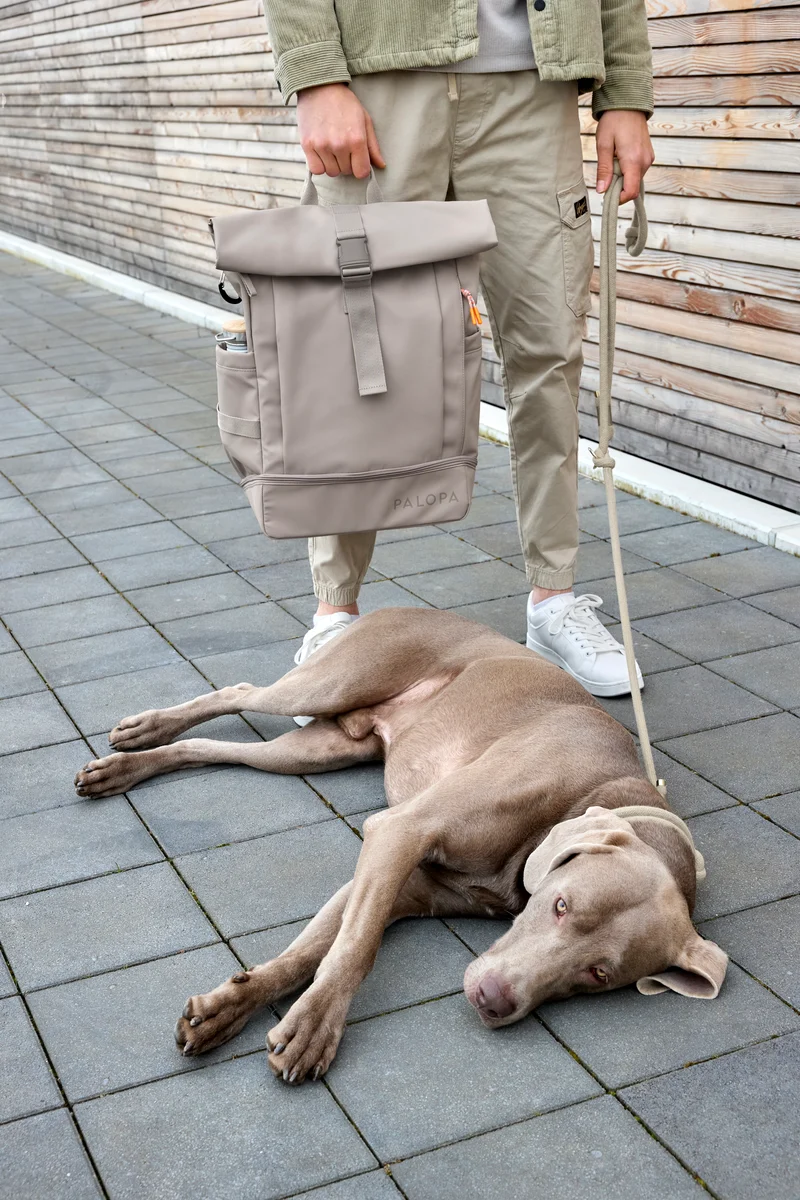 Rucksack Rolltop Yoska Taupe