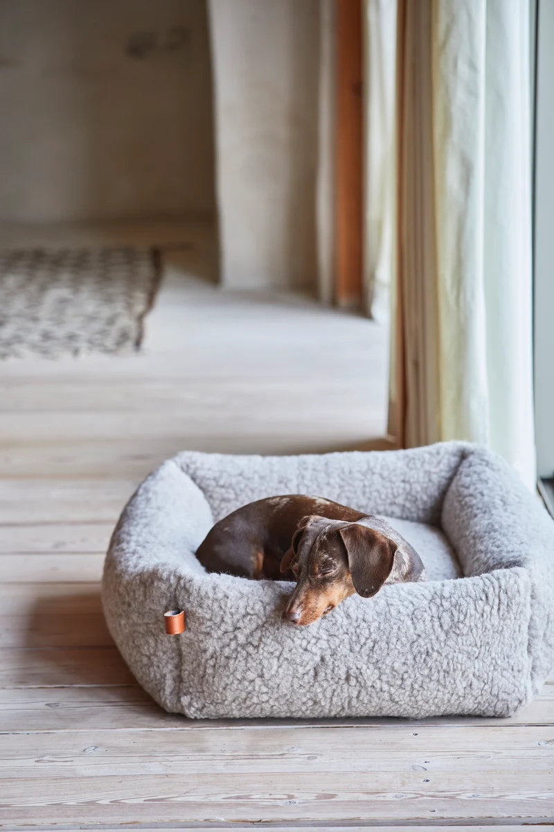 Hundebett Sleepy Deluxe Teddy