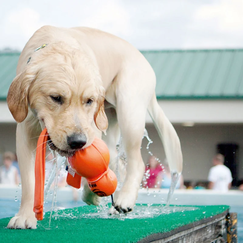 KONG - WET WUBBA | schwimmfähiges Apportierspielzeug für Deinen Hund