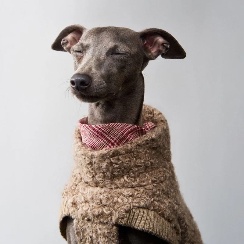 Hundehalstuch Bandana Check Red - Light Green