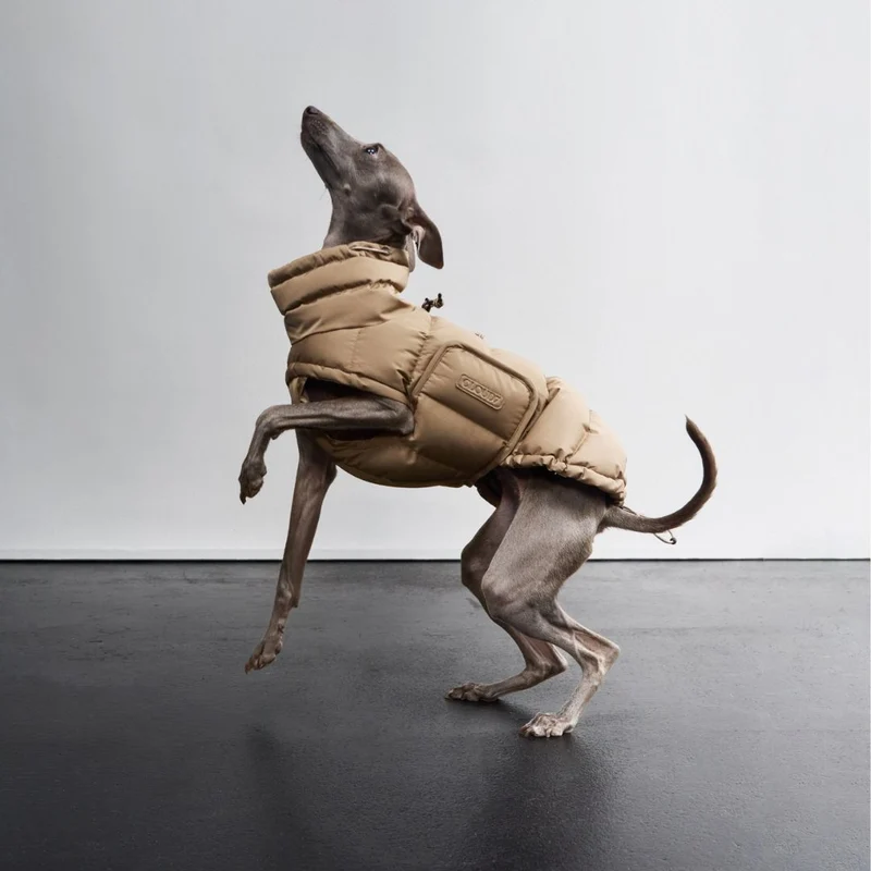 Hundemantel Alaska Sandy Brown