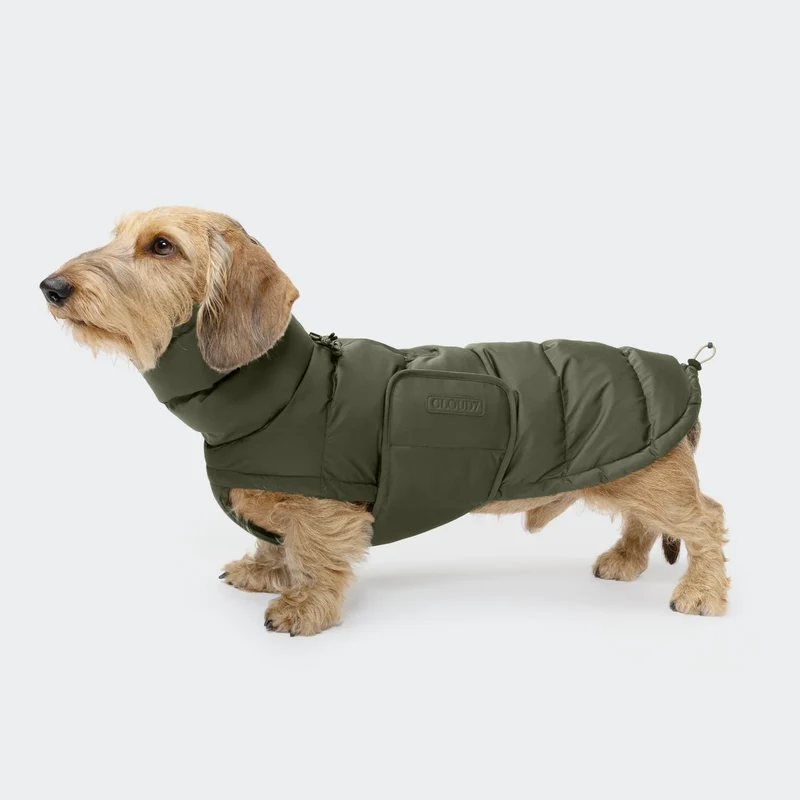 Hundemantel DACKEL Alaska Light Olive