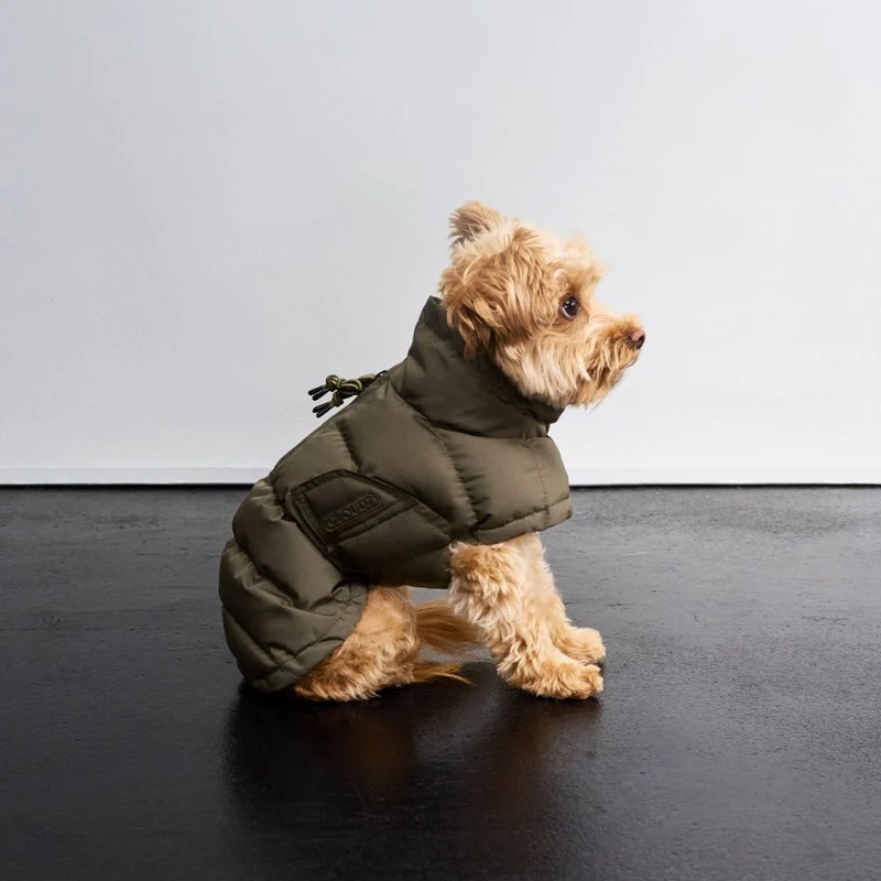 Hundemantel Alaska Light Olive