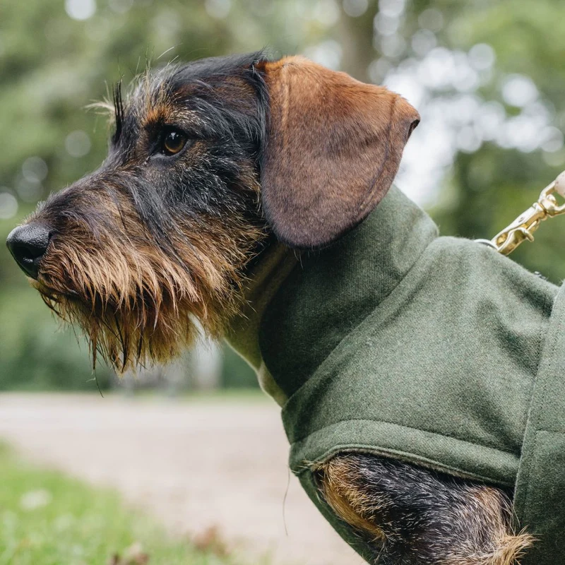 Hundemantel Brooklyn DACKEL Fern Green