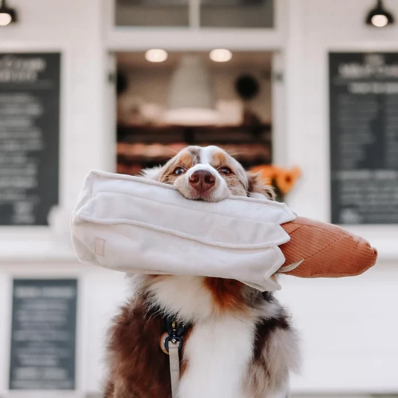 Schnüffelspielzeug Baguette