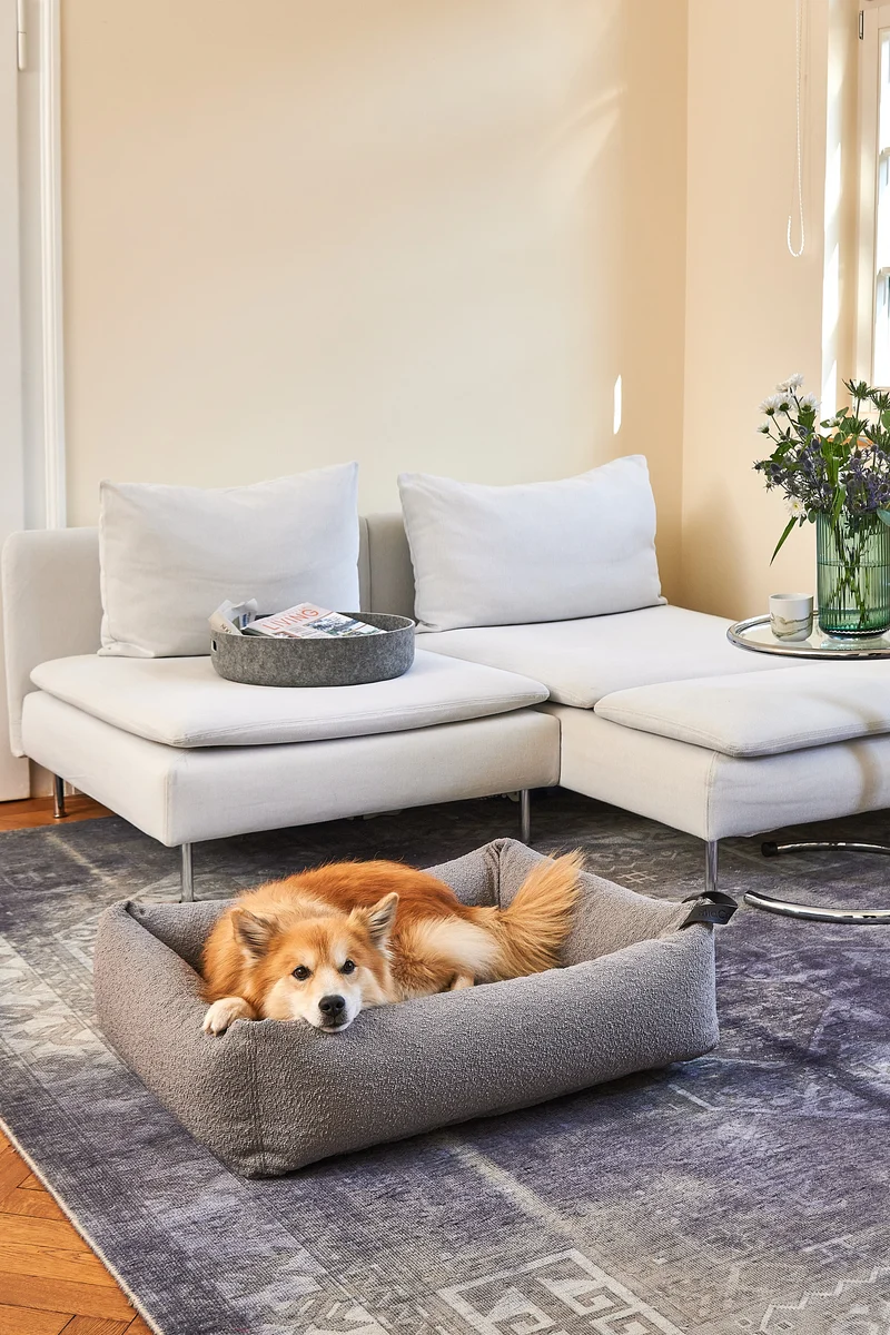 Mondo Hundebett Stein