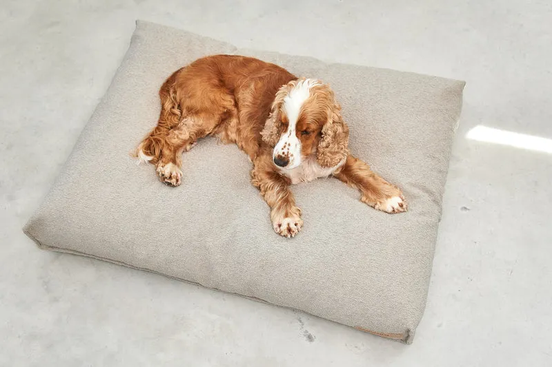 Mondo Hundekissen Cappuccino