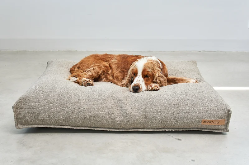 Mondo Hundekissen Cappuccino