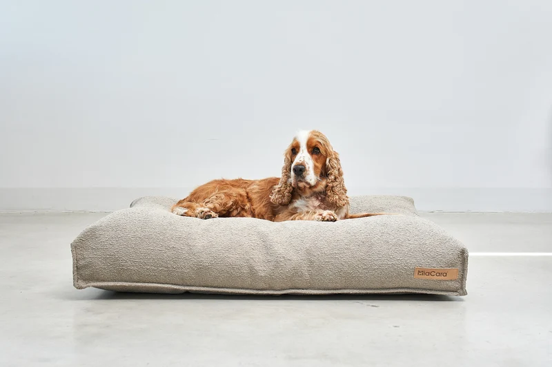 Mondo Hundekissen Cappuccino
