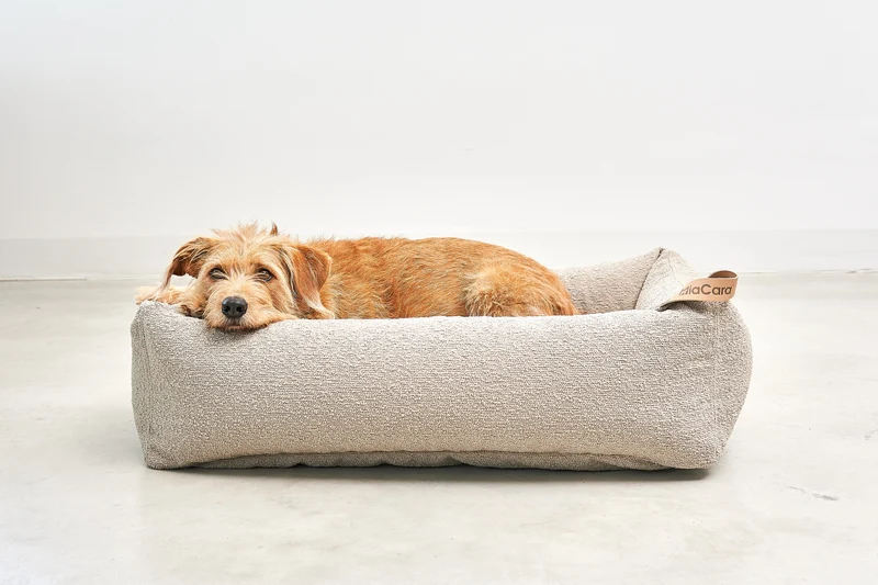 Mondo Hundebett Cappuccino