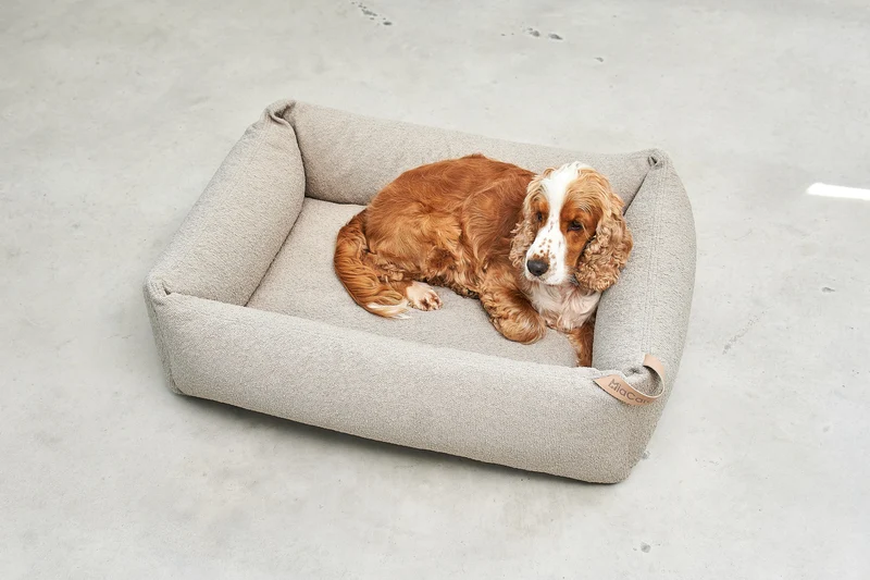 Mondo Hundebett Cappuccino
