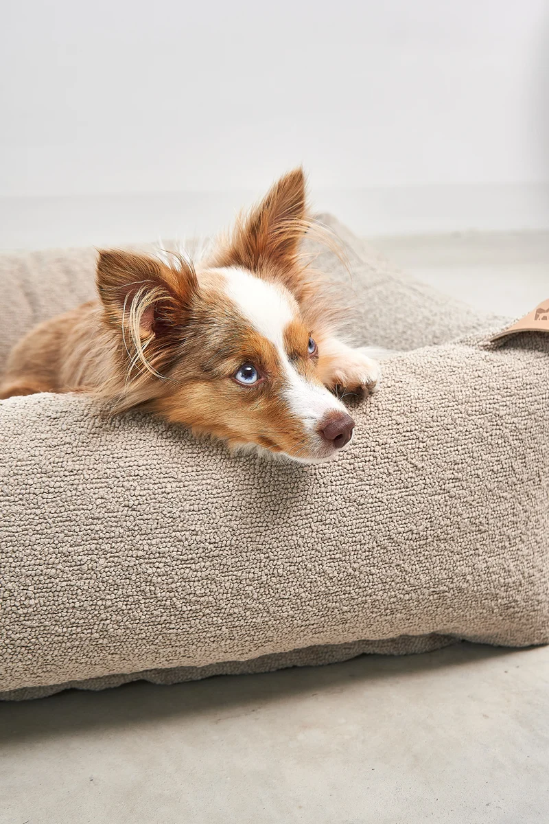 Mondo Hundebett Cappuccino