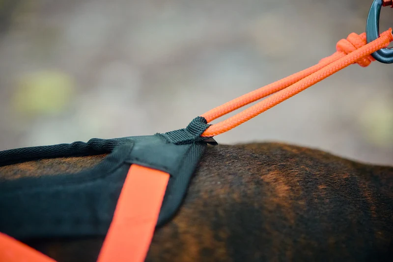 Rush Harness Orange