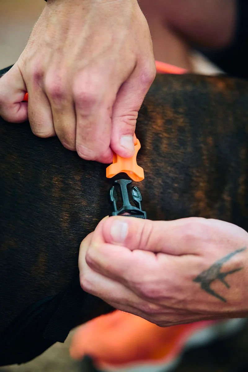 Rush Harness Orange