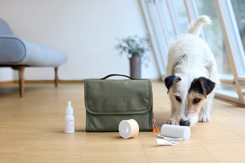 Set: Hunde Leckerlibeutel Emma & Hunde Erste-Hilfe-Tasche Bano Dunkelgrün