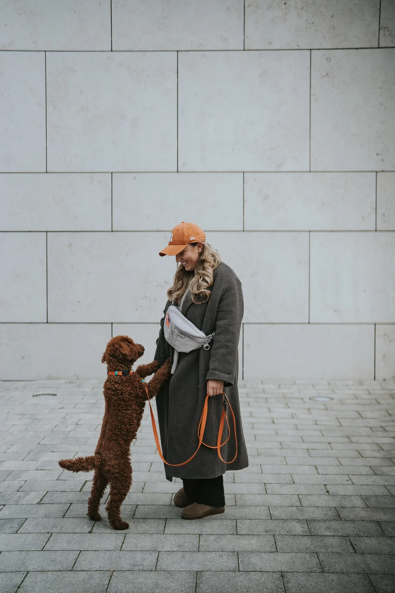 Set: Hunde Leckerlibeutel Emma & Hundereisenapf Tura Taupe