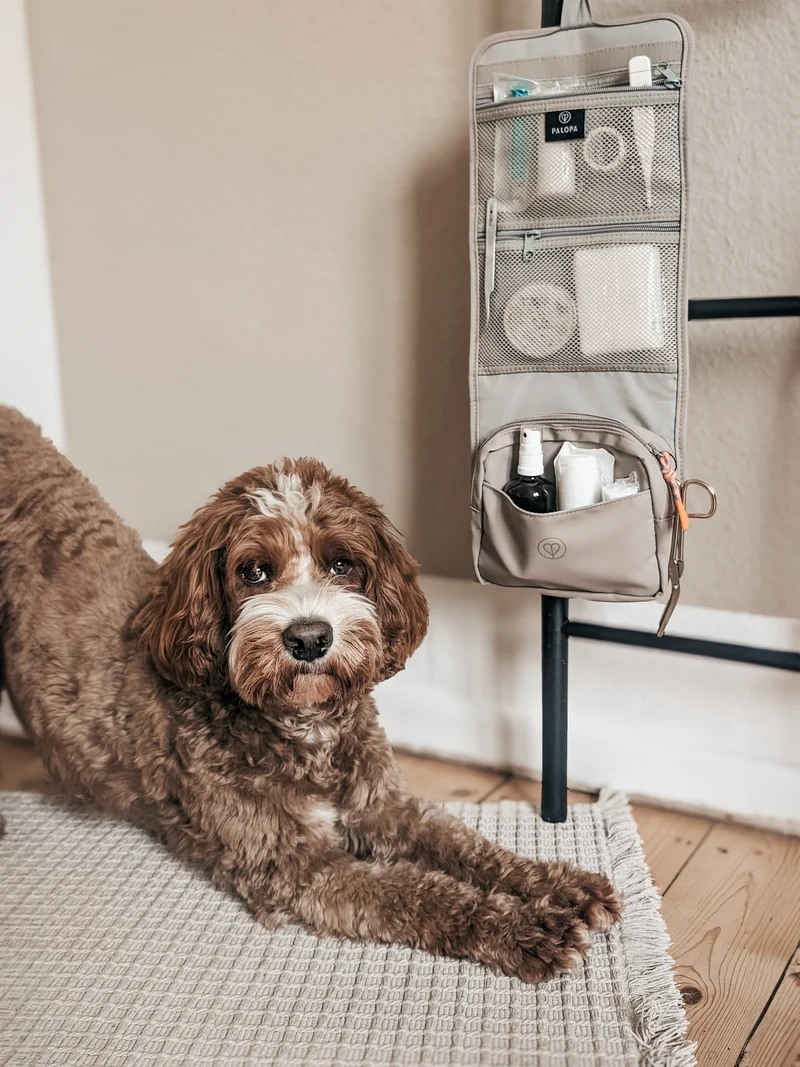Hunde Erste-Hilfe-Tasche Bano Taupe