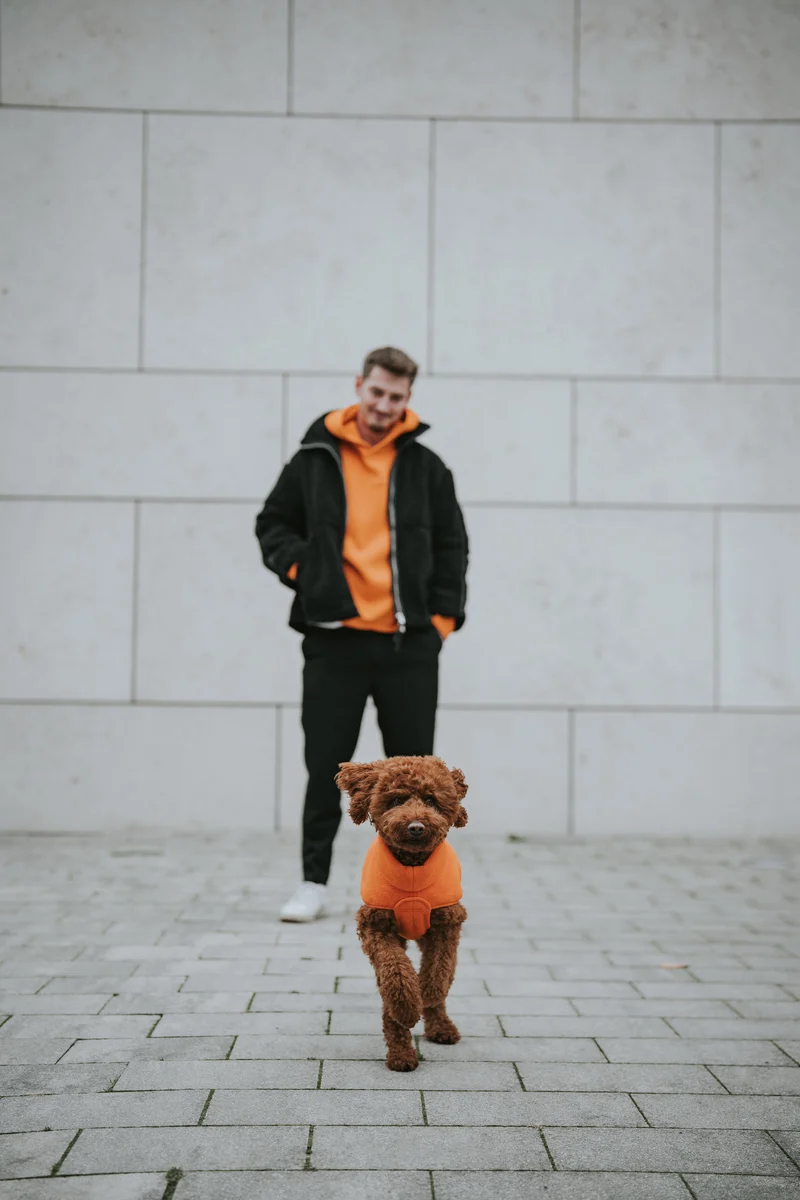 Hundepullover Fleece Derby Orange