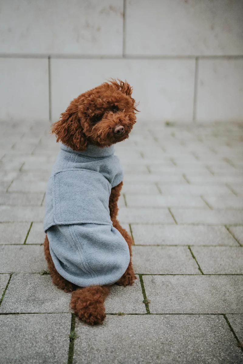 Hundepullover Fleece Derby Light Grey