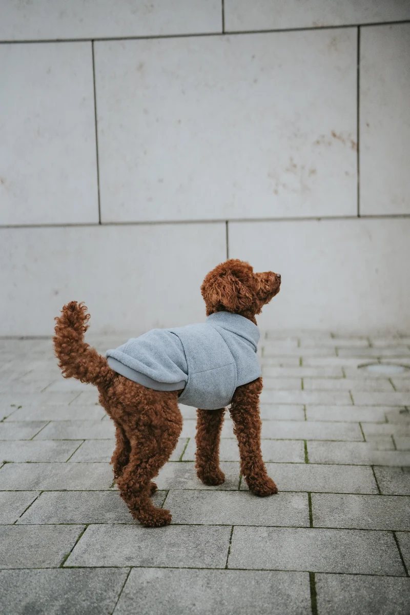 Hundepullover Fleece Derby Light Grey