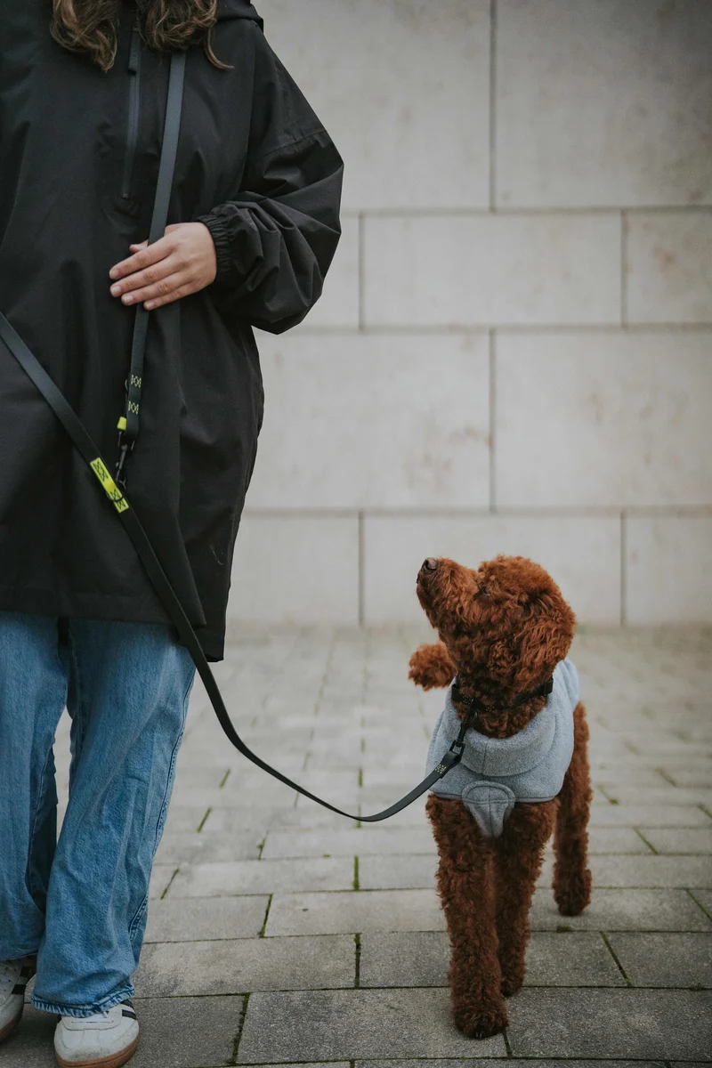 Hundepullover Fleece Derby Light Grey