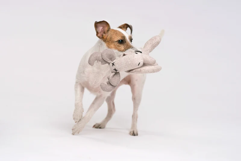Plüsch Hundespielzeug Rentier Marley