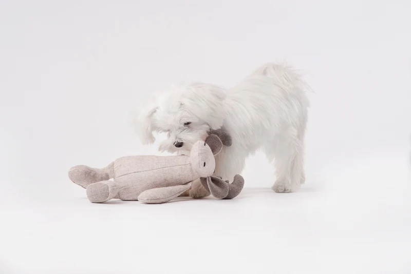 Plüsch Hundespielzeug Rentier Marley