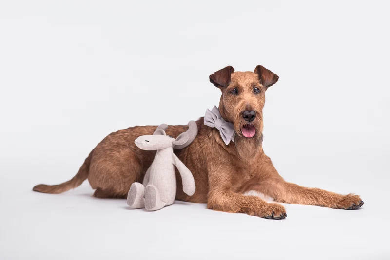 Plüsch Hundespielzeug Rentier Marley