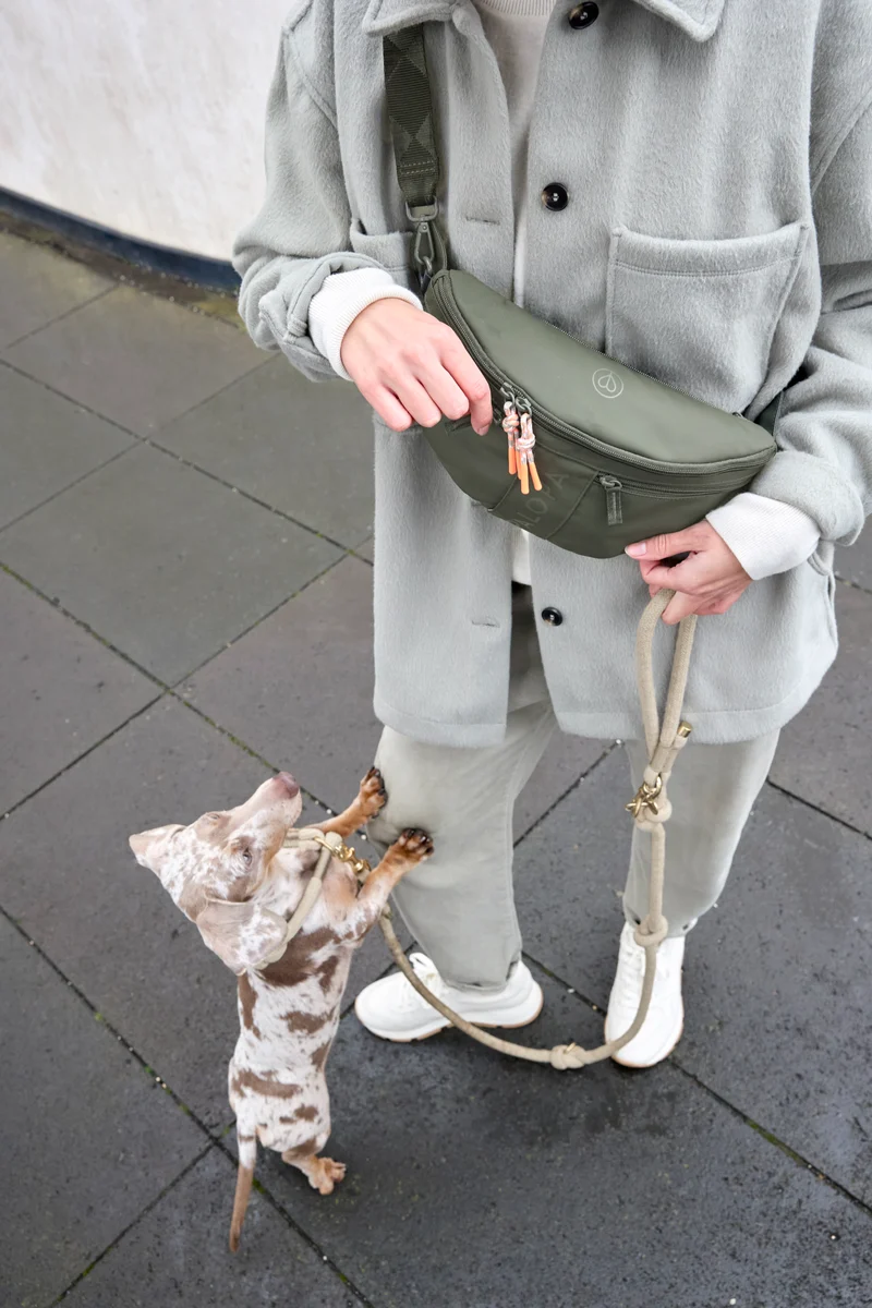Hunde Leckerlibeutel Emma Dunkelgrün