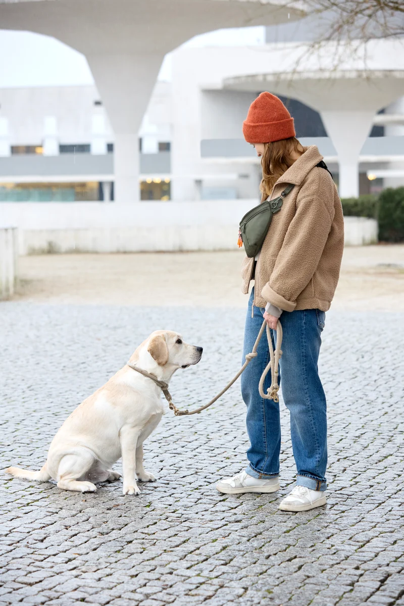 Hunde Leckerlibeutel Emma Dunkelgrün